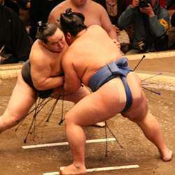 Sumo wrestlers in action.