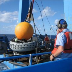 Hydrophone being deployed