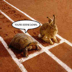 A tortoise and a hare, racing.