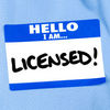 Licensing Professional Software Engineers