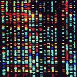 Computerised image of a fragment of the human genome. 