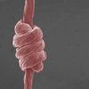 Super-Stretchable Yarn Is Made of Graphene