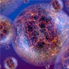 Will Science Burst the Multiverse's Bubble?