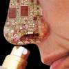 Electronic Nose Could Aid in Rescue Missions