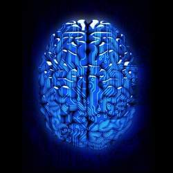 Artist's conception of a digital brain.