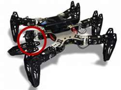 A multi-legged robot must relearn how to walk if one or more of its legs breaks. 