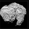 Rosetta: Landing Site Search Narrows