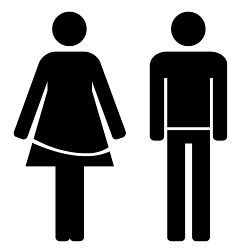 female and male symbols