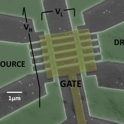 A Scanning Electron Microscope micrograph of a multigate InGaAs nanowire field effect transistor with an array of five nanowires 40 nm. wide.