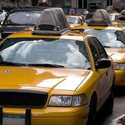 Taxicabs in traffic.
