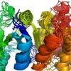 Map of Body's Protein-Folding Machinery Wins a Major Medical Prize