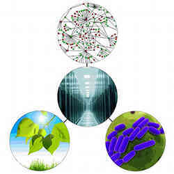An illustration of the various content types included in the Systems Biology Knowledgebase.