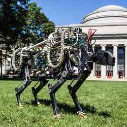 The cheetah-bot in MIT's Killian Court.