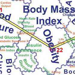 An idea map can show the semantic similarities between millions of biomedical journal articles, giving a quick overview of the field.