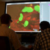 3-D Gaming Gear Gives Biologists an Eye-Opening Look at Cells in Action