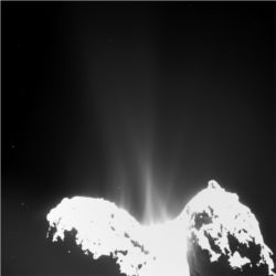 Comet streaming dust and gas into space