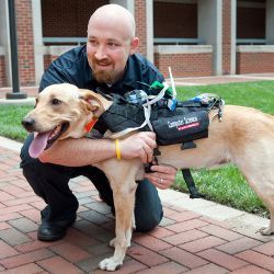 David Roberts and dog wearing computer harness