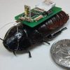 Cockroach Cyborgs Use Microphones to Detect, Trace Sounds