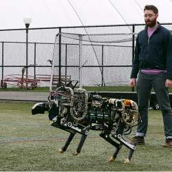 Researcher Will Bosworth monitors a robotic cheetah during a test run.