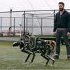 MIT Engineers Have High Hopes For Cheetah Robot