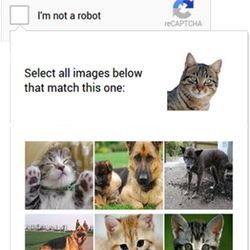 Google's new captcha for mobile users