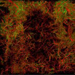 Tangle of vortices in a snapshot of numerically simulated three-dimensional and isotropic fluid turbulence.