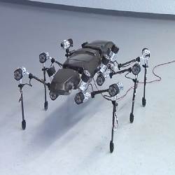 Hector, the stick insect robot. 