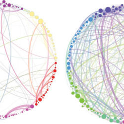 Psilocybin networks