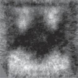 Researchers at PSI spotted a curious black-and-white magnetic substructure on a five-by-five-micrometer square, and were reminded of the stylised Batman logo.