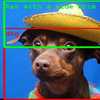 Looking and Learning: Image Identification and Enhanced Search