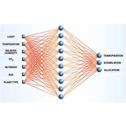 A simple model for a neural network.