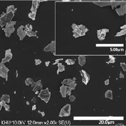 bismuth ferrite nanoparticles