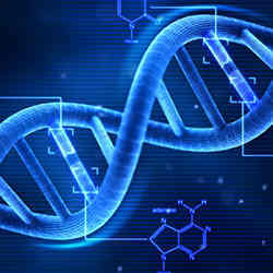 The double helix structure of DNA.