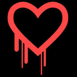 Logo of the Heartbleed bug.