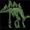 Rare Stegosaurus Skeleton Delivers Secrets Through 3D Scanning