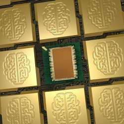 A scalable, tiled network of chips inspired by the structure of a brain.