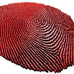 Fingerprint ridges