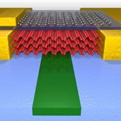 A high-performance photodetector that uses a few layers of black phosphorus (red atoms) to sense light in the waveguide (green material). Graphene (gray atoms) is also used to tune performance.