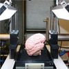 To Digitize a Brain, First Slice 2,000 Times with a Very Sharp Blade