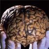 Mediators Call For Change to Science of Human Brain Project