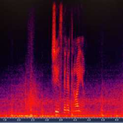 A spectrograph of the sound the car's microphone picks up when the driver is speaking.