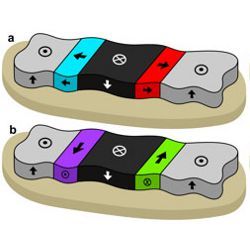 magnetic domain wall schematics