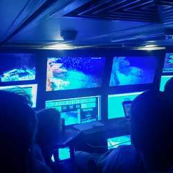 Researchers watch underwater footage taken by autonomous underwater vehicles exploring Australia's Scott Reef.