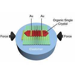 Schematic of wrinkled rubrene single-crystal field-effect transistor. 