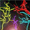 Digitizing Neurons