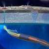 Soft Robot to Swim Through Europa's Oceans