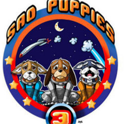 Sad Puppies sf wars