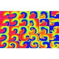 Simulations of complex spatial patterns indicative of cardiac arrhythmic disorders, including spiral waves and spiral wave breakup.