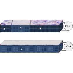 A thin magnetic FeRh film is grown onto a ferroelastic BTO substrate with two different crystal domains a and c. 