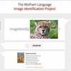 Wolfram's Id Project Launch Touts Imageidentify Function